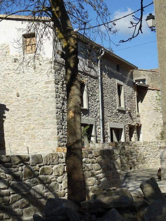 Villa Misanid Ecrin De Verdure A 15Mm De La Cite De Carcassonne Mas-des-Cours Εξωτερικό φωτογραφία