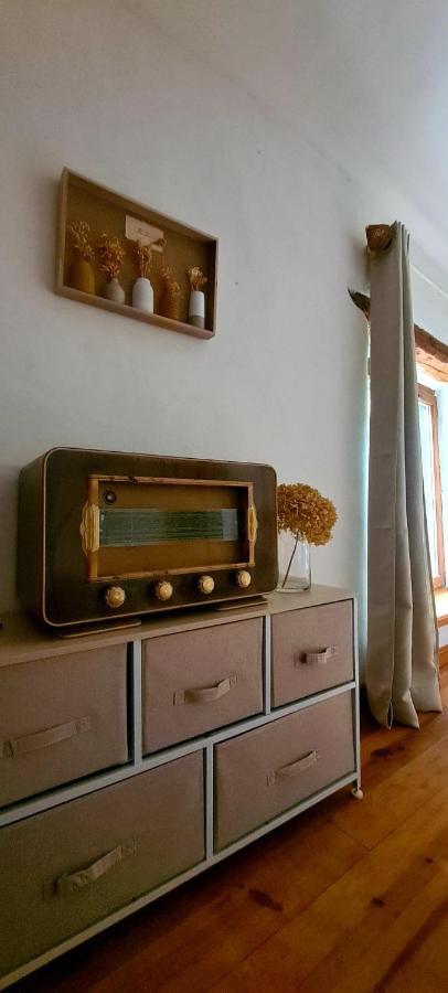 Villa Misanid Ecrin De Verdure A 15Mm De La Cite De Carcassonne Mas-des-Cours Εξωτερικό φωτογραφία