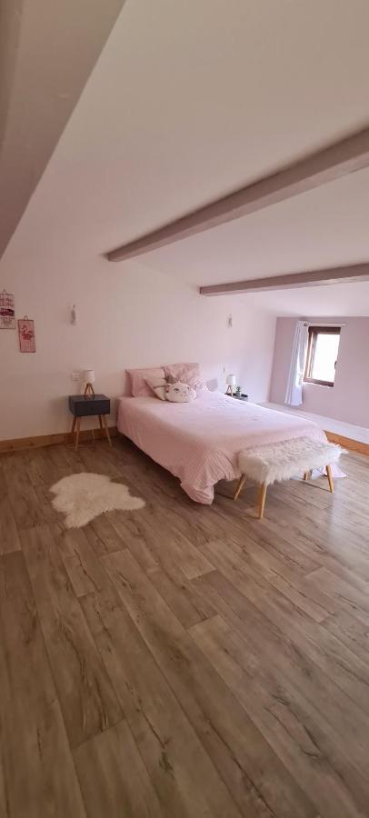 Villa Misanid Ecrin De Verdure A 15Mm De La Cite De Carcassonne Mas-des-Cours Εξωτερικό φωτογραφία